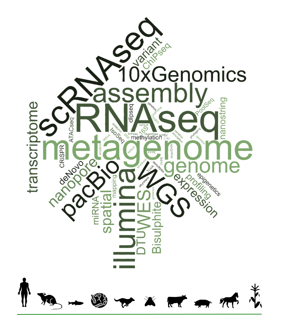 Titleimage: Interfaculty Bioinformatics Unit